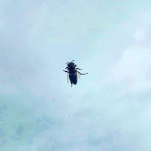 Meet your Posher, Mahala